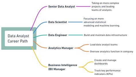 Database Analyst Career Path