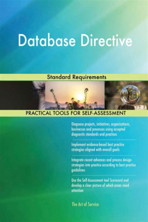 Database Directive Standard Requirements
