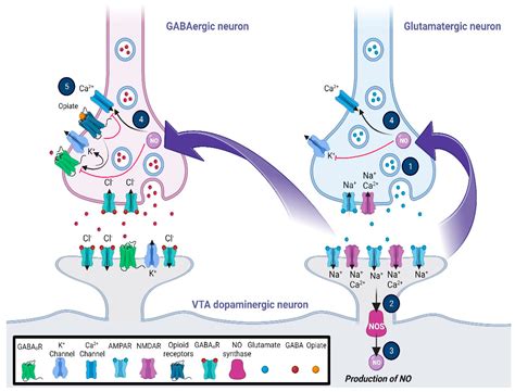 Database security solutions.  (Increased doses can bind to postsynaptic receptors 1.  F...