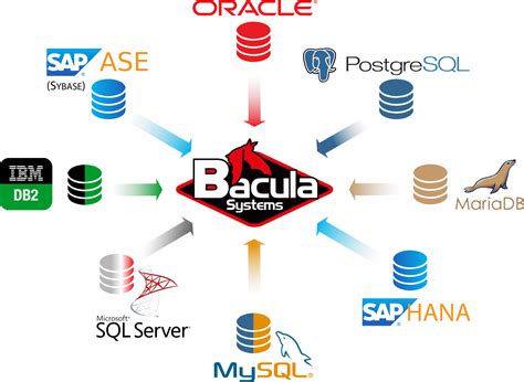 Database solutions. Oracle OCI Database Management. 3. IBM Cloud Database Solutions. 4. AWS Cloud Databases. 5. SAP HANA Cloud. The sheer volume of data that is generated and collected today is beyond most people’s comprehension. In addition to the sheer amount increasing, the data itself is evermore varied than before. 