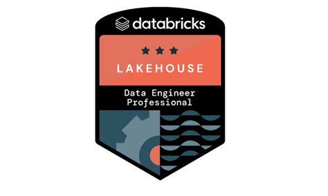 Databricks-Certified-Data-Engineer-Professional Online Praxisprüfung