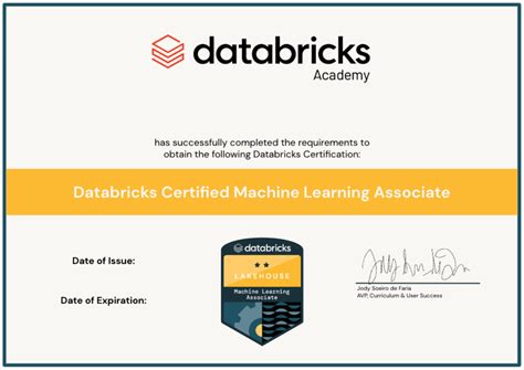 Databricks-Machine-Learning-Associate Online Praxisprüfung