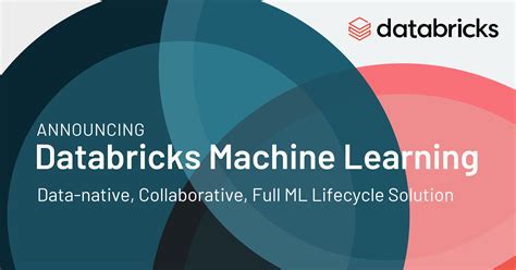 Databricks-Machine-Learning-Professional Buch