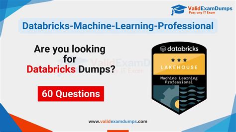 Databricks-Machine-Learning-Professional Online Tests
