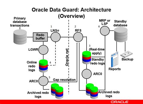 Dataguard 5.0 Operations & Maintenance Manual - APC USA