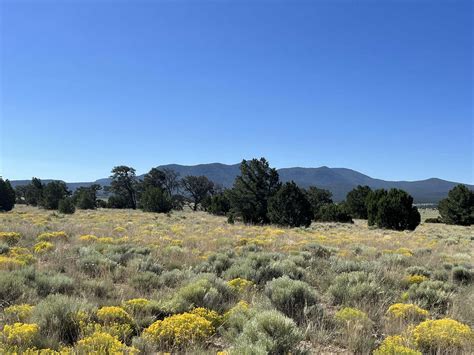 Datil, NM Land for Sale & Real Estate realtor.com®