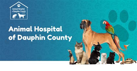 Dauphin county animal hospital. Companion Animal Hospital Sunny Hill Drive, Mount Pleasant Mills, PA - 8.7 miles. Dauphin Animal Hospital Peters Mountain Road, Dauphin, PA - 14.6 miles A small animal veterinary care provider in Dauphin County, Pennsylvania, offering routine checkups, vaccinations, dental care, surgery, and emergency care. Selinsgrove Veterinary Hospital 