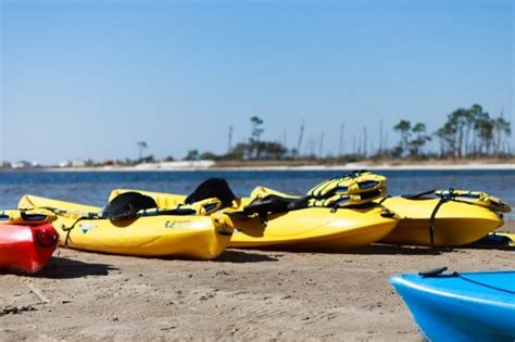 Dauphin island bike rentals. Things To Know About Dauphin island bike rentals. 