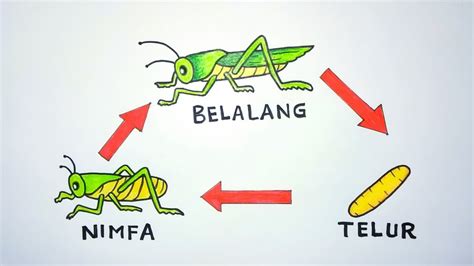 15 rekomendasi pisau daging terbaik dan berkualitas untuk