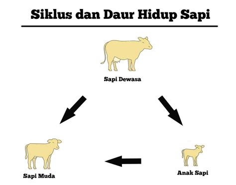 3 cara menanggulangi pencemaran air halaman all