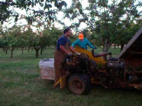 Dave Eischen - Eischen Family Farms, Cornelius, Oregon