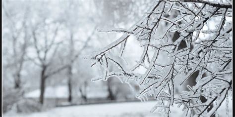 Dave murrays winter forecast