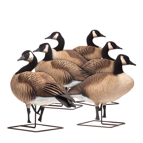 Dave smith decoys. Also like our other turkeys, they can even withstand an accidental shotgun blast or broadhead through the body with only minimal damage. Made in the U.S.A. Includes: (1) Ocellated Posturing Jake, (1) Jake Turkey Stake, (1) Ocellated Upright Hen, (1) Hen Turkey Stake, and (2) Camo Bag with Shoulder Strap. Decoy Weight (with bag and stake) – 6lbs. 