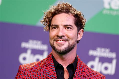 David Bisbal - Wikidata