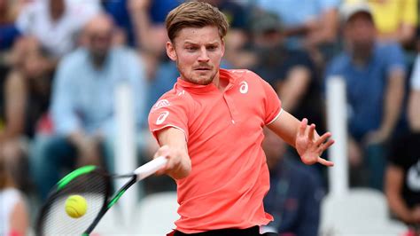 David Goffin Overview ATP Tour Tenis