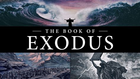 David R. Godine - Exodus Books