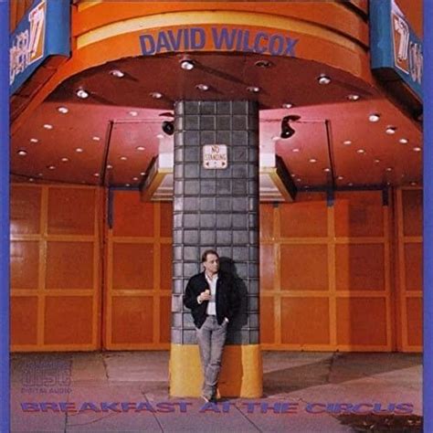 David Wilcox (CA) – Layin