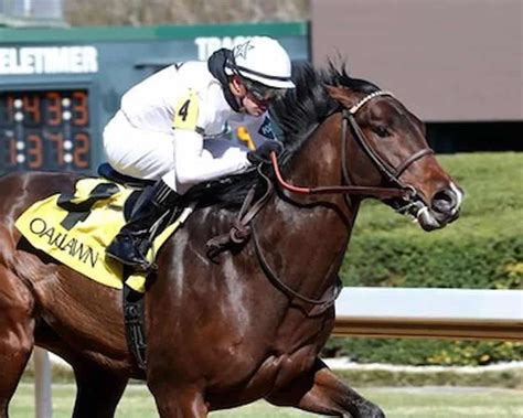 David Aragona handicaps Sunday's card at Belmont Park. RACE 4: SHINJUKU (#7) Clever Fellow is arguably the horse to beat, but he feels like one that is destined to be overbet again.. 