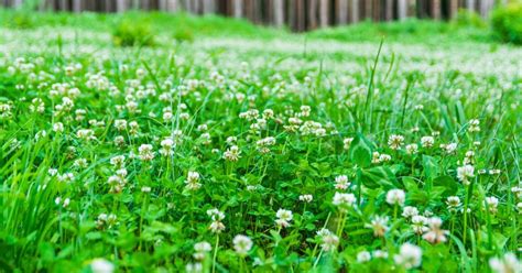 David flawn norfolk.  Click here to find personal data about Flawn including phone nu...