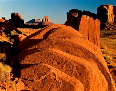 David muench