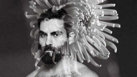 David rosetzky biography