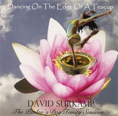 David surkamp biography