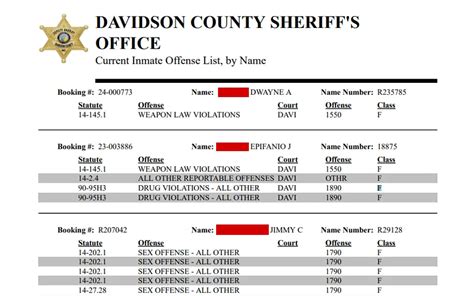 Davidson county booking number.  Managed by the Davidson County Sheriff...