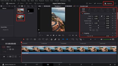 Davinci Resolve Resolution guide