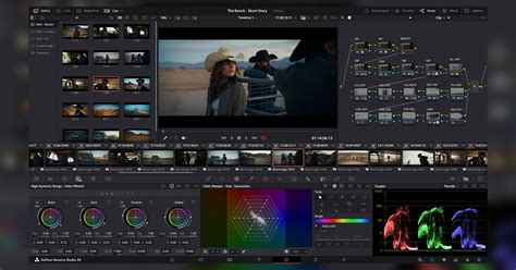 Davinci Resolve Studio instructions