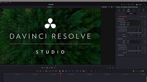 Davinci Resolve Studio resolve studio