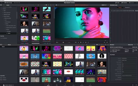 Davinci resolve media page.  Watch a free lesson today. DaVinci Resolve fea...