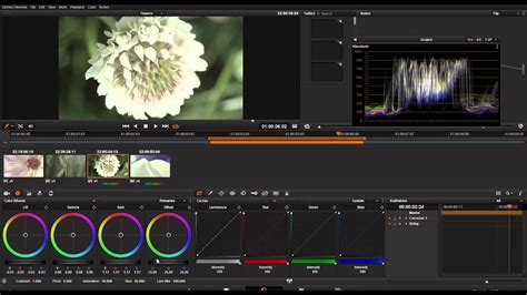 Davinci resolve tutorial. Learn how to edit videos with DaVinci Resolve, including all the video editing features & tips you NEED to know as a beginner in this updated COMPLETE DaVinc... 