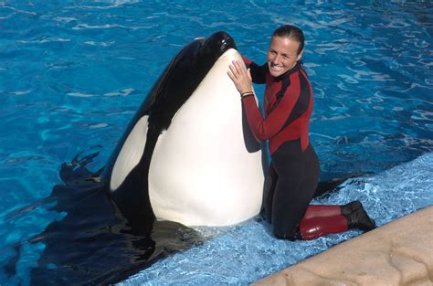 Sarah Lundy. ORLANDO, Fla. — The family of the SeaWorld Orlando trainer drowned by a killer whale last month gained a temporary order to keep photos and videos that captured her death out of the .... 