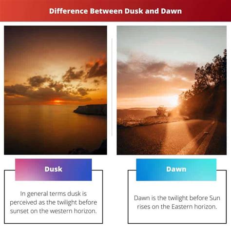 Dawn-Dusk Leaked (SEX) 💦