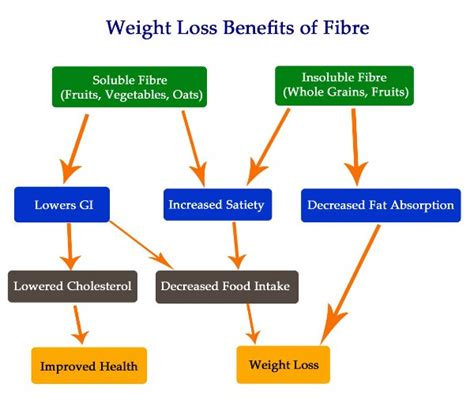 Day 20 - Learn about the Merits of Fibre and Weight Loss with …