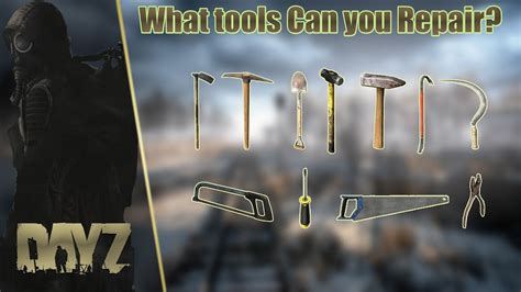 DayZ Tools Learn about DayZ stats and mechanics using these …