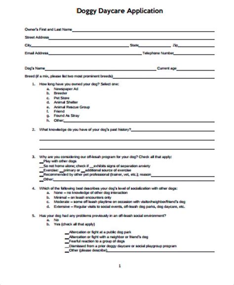 Daycare Application Form For Parents Financial Report