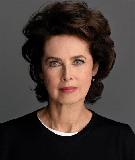 Dayle haddon wiki