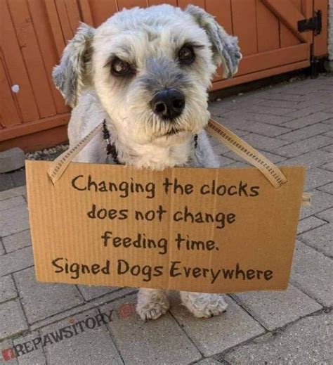 Daylight saving time images funny. Rodney Lacroix @moooooog35. Boss: You're late. Me: Technically, with moving the clocks forward it's only 8 o'clock. Boss: That's only valid for- Me: Right. On. 