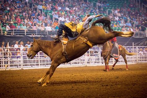 Days of 47 rodeo. The Days of ’47 Rodeo is one of Utah’s longest-standing traditions – celebrating Utah’s heritage since 1847. The rodeo, and other Days of ’47 events, … 