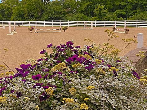 Dayton Local Show Circuit Home