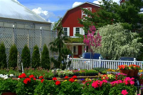 Dayton Nursery Norton OH