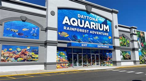 Daytona aquarium. Daytona Aquarium & Rainforest Adventure 1008 West International Speedway Blvd. Daytona Beach Fl, 32114 . Phone: 386-241-3144. CONTACT US LINK; QUICK LINKS. Aquarium; Reptile Den; Exhibits Map; Conservation; INFORMATION. Hours of Operation: Open 7 days a week. From 11:00am – 6:00pm. Last Admission is … 