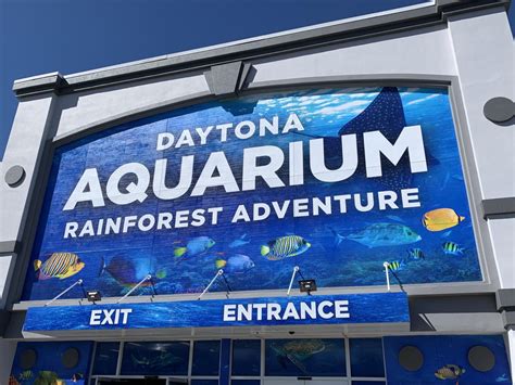 Daytona beach aquarium. Here are our recommendations of the best aquariums in Florida that the whole family will love. 1. The Florida Aquarium, Tampa. 2. Clearwater Marine Aquarium, Clearwater Beach. 3. SEA LIFE Orlando Aquarium, Orlando. 4. Gulf World Marine Park, Panama City Beach. 