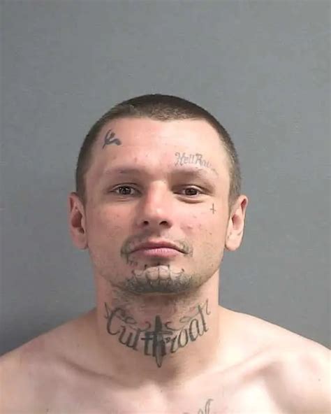Daytona beach mugshots today. .  ...