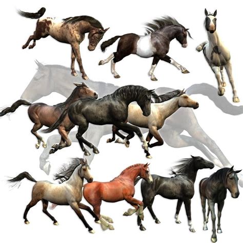 Daz 3d Millennium Horse Poses Pack for Poser & Daz Studio