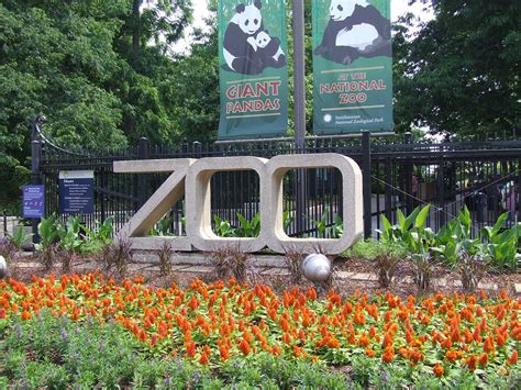 Dc national zoo. Georgetown to National Zoological Park by bus and walk. The journey time between Georgetown and National Zoological Park is around 56 min and covers a distance of around 6 miles. This includes an average layover time of around 11 min. Operated by Washington Metropolitan Area Transit Authority, the Georgetown to National … 