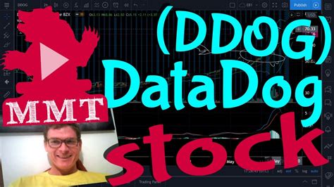 DDOG stock plunged after Datadog earnings and ... Datadog 