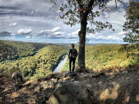 De 20 mooiste wandelroutes en Mariposa County Komoot