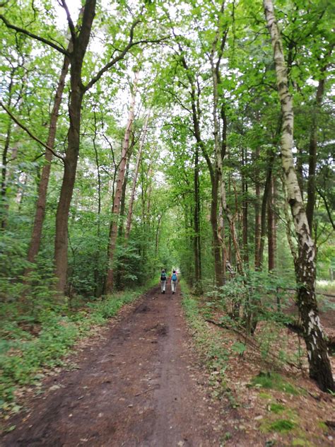 De 20 mooiste wandelroutes rond Amersfoort Komoot